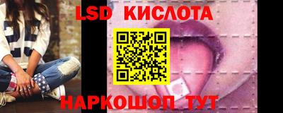 гидра Новозыбков