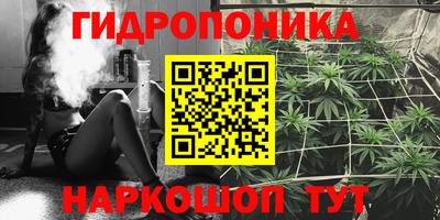 гидра Новозыбков