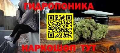 гидра Новозыбков