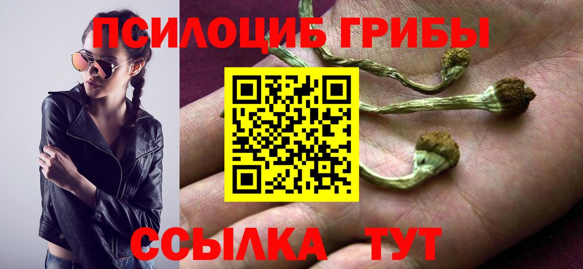 Псилоцибиновые грибы GOLDEN TEACHER  Вход с VPN  Торжок 